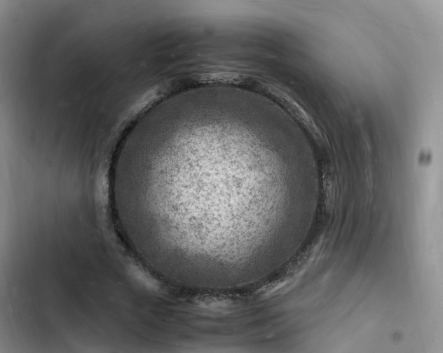 X0000102780729200808251115