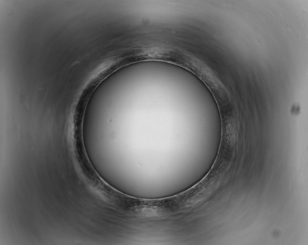 X0000102780730200808251115