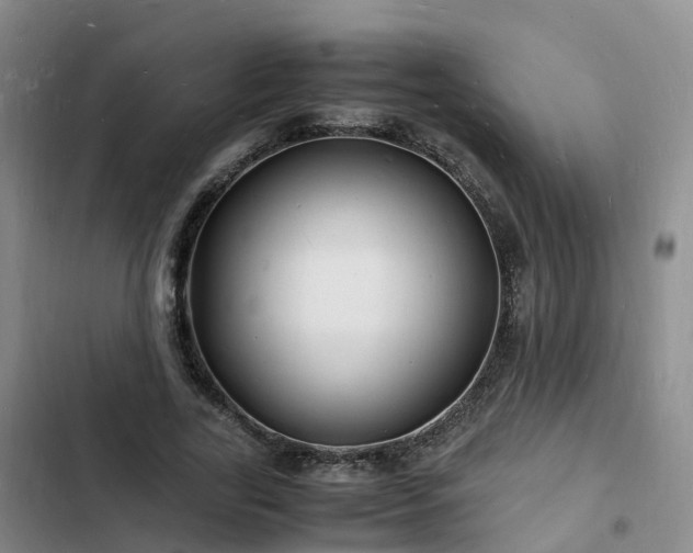 X0000102780731200808251115