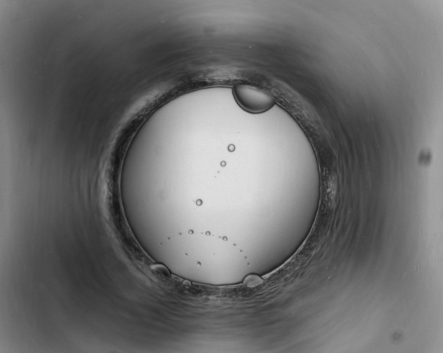 X0000102780732200808251115