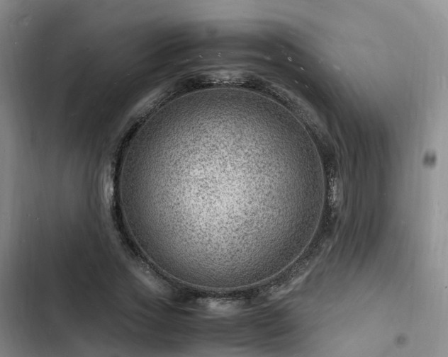 X0000102780733200808251115