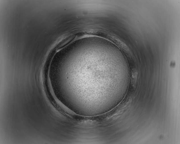 X0000102780734200808251115