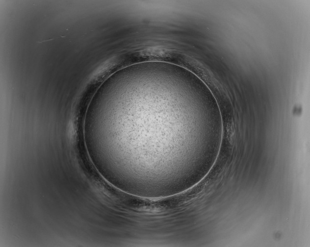 X0000102780735200808251115