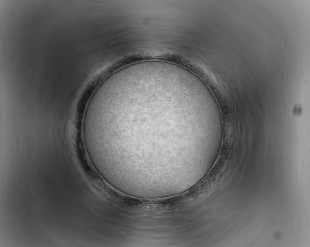 X0000102780736200808251115