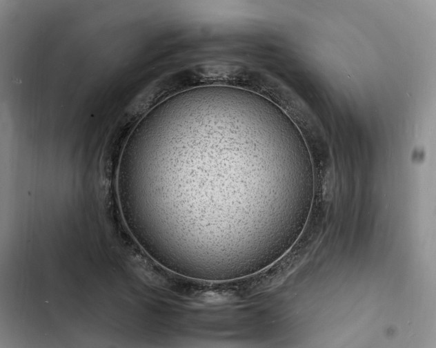 X0000102780737200808251115