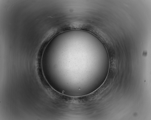 X0000102780738200808251115