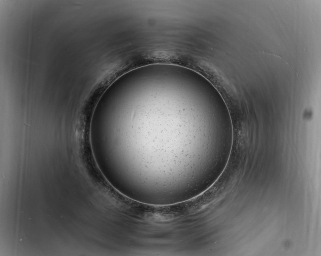 X0000102780739200808251115