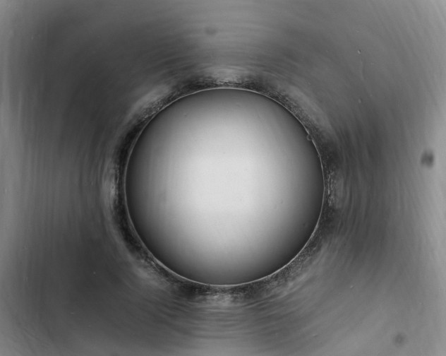 X0000102780740200808251115