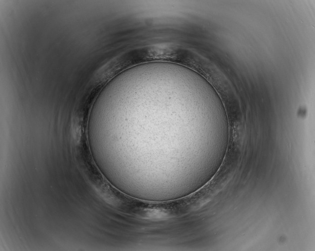 X0000102780741200808251115