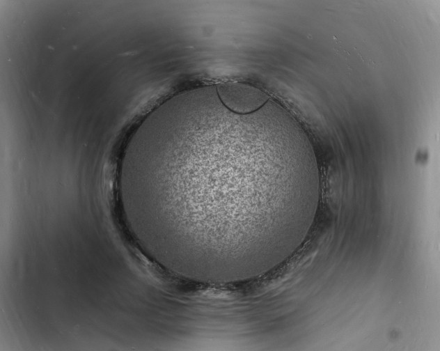 X0000102780742200808251115