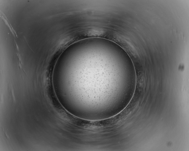 X0000102780743200808251115