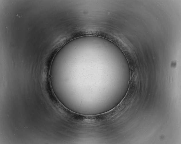 X0000102780744200808251115