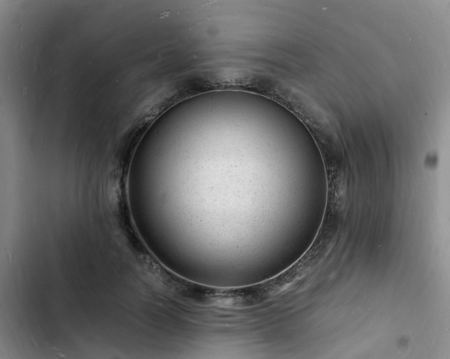 X0000102780746200808251115