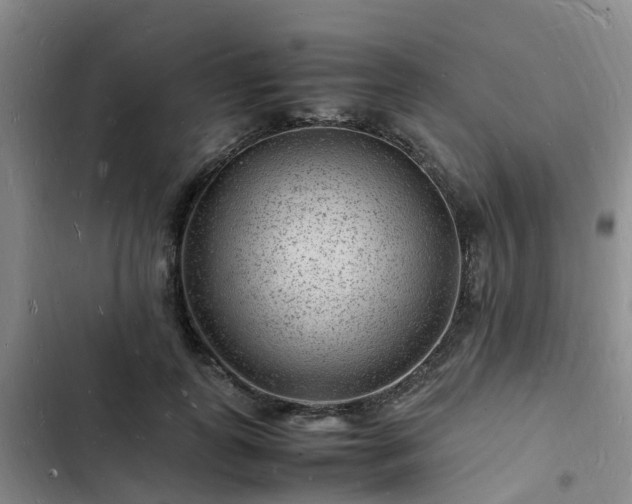 X0000102780747200808251115