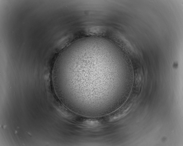 X0000102780749200808251115