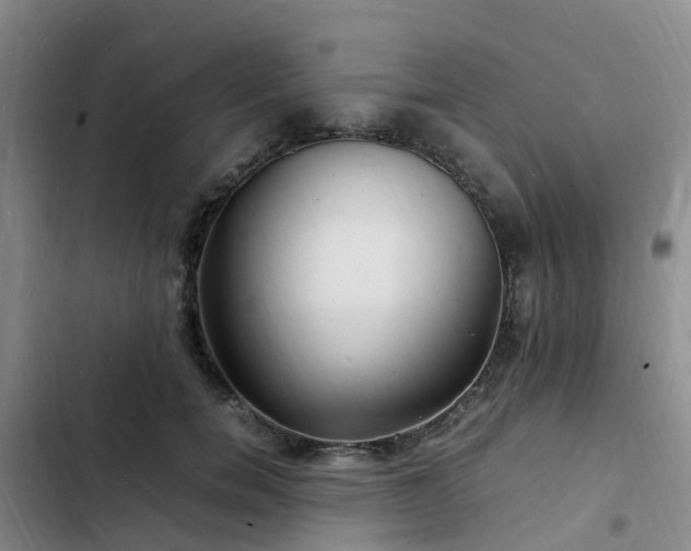 X0000102780750200808251115