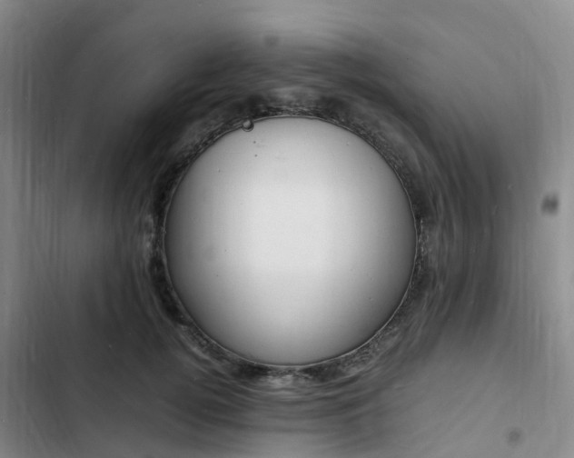 X0000102780752200808251115