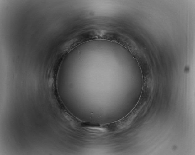 X0000102780754200808251115