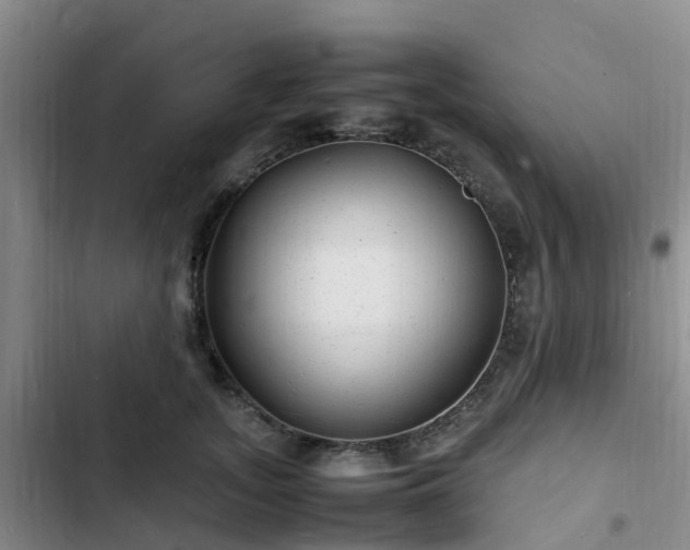 X0000102780755200808251115