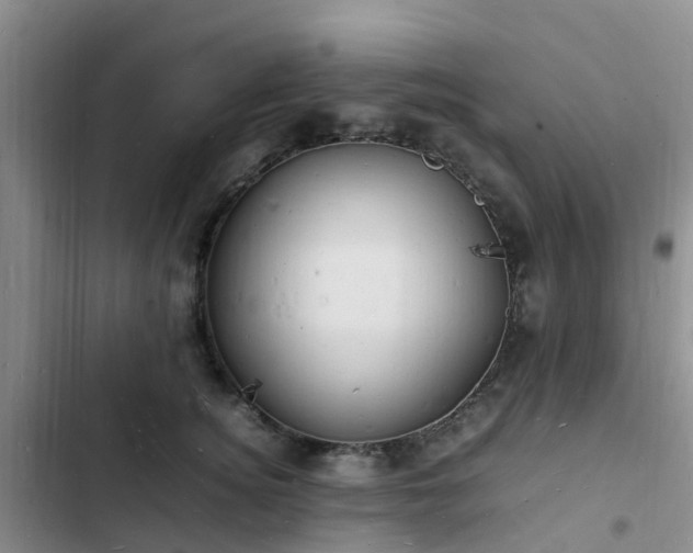 X0000102780756200808251115