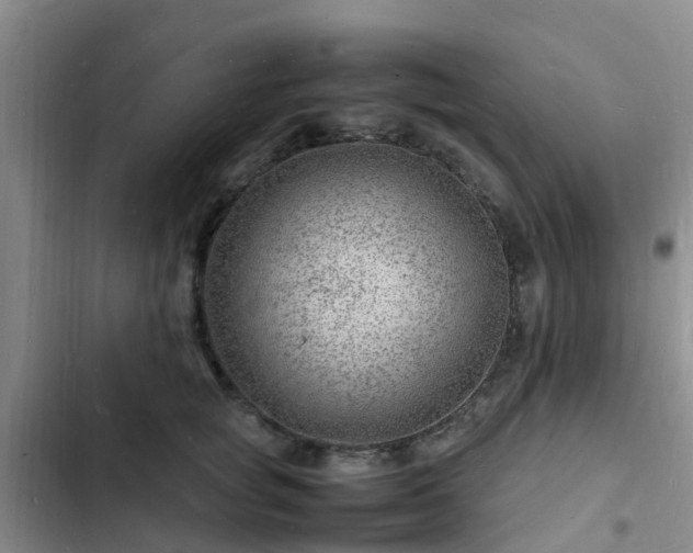 X0000102780757200808251115