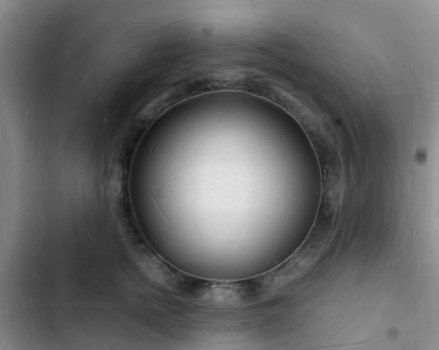 X0000102780758200808251115