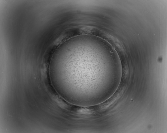 X0000102780759200808251116