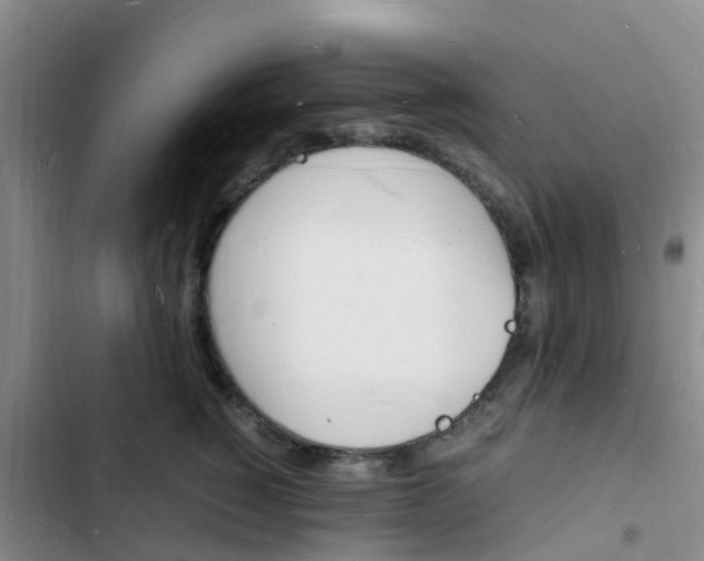 X0000102780760200808251116