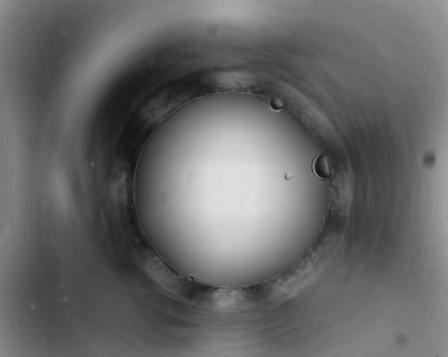 X0000102780762200808251116