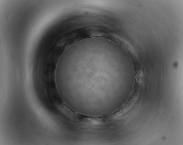 X0000102780763200808251116