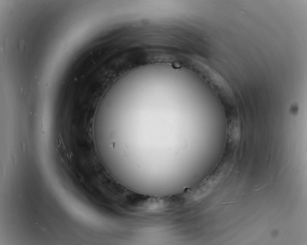 X0000102780764200808251116