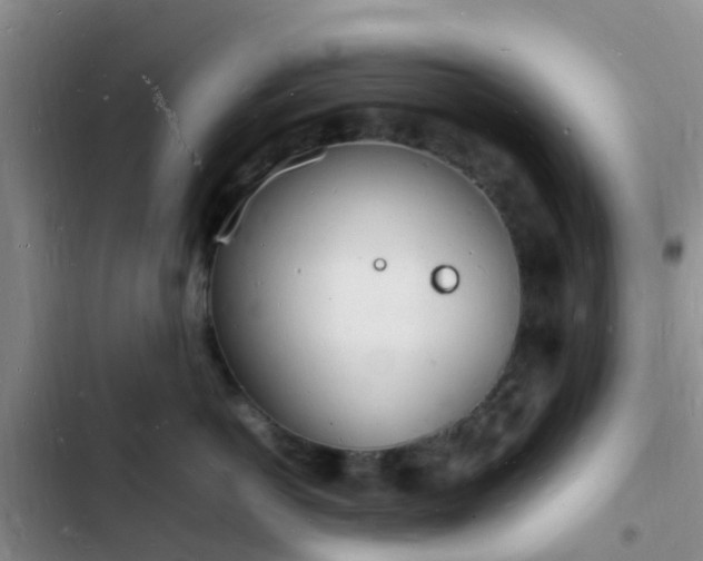 X0000102780766200808251116