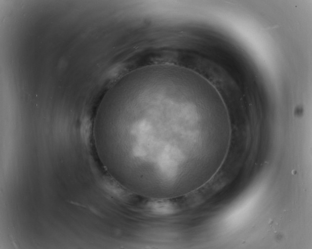 X0000102780767200808251116