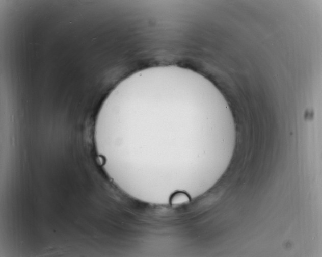 X0000102780768200808251116