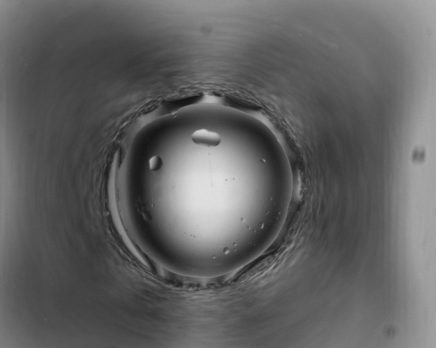 X0000102780769200808251115