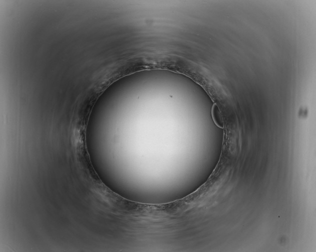 X0000102780770200808251115