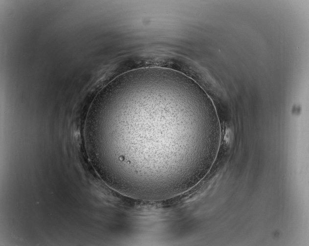 X0000102780771200808251115