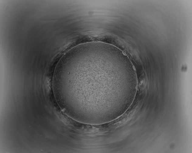 X0000102780772200808251115