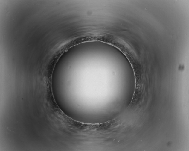 X0000102780773200808251115