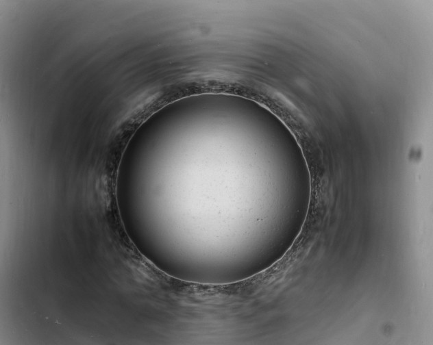 X0000102780774200808251115