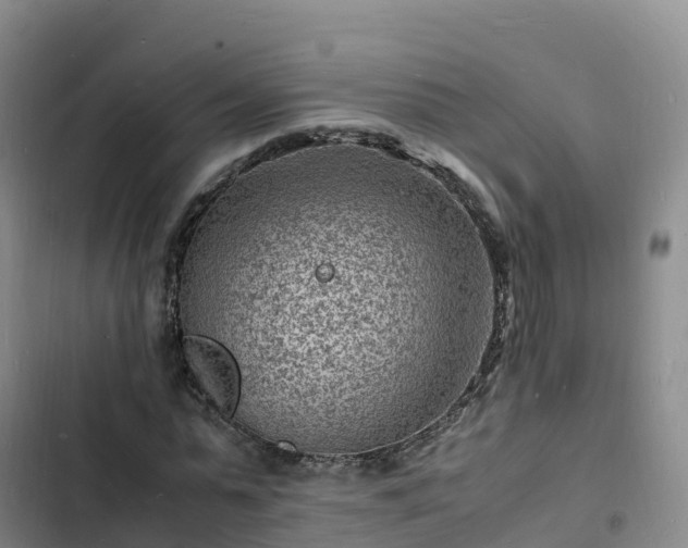 X0000102780775200808251115