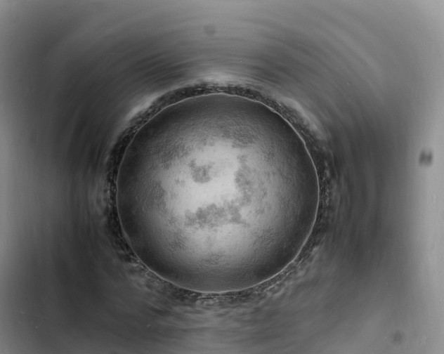 X0000102780776200808251115