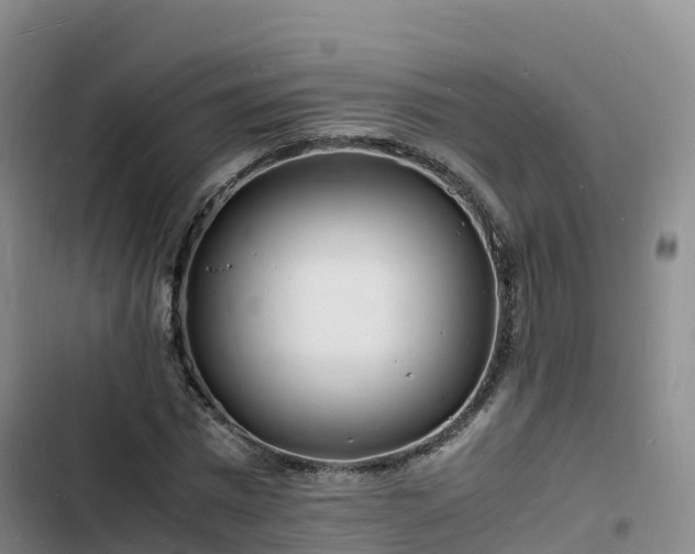 X0000102780777200808251115