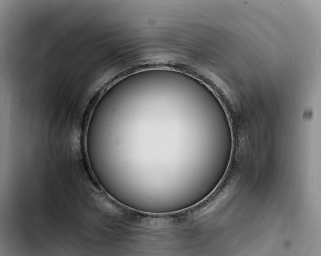 X0000102780778200808251115