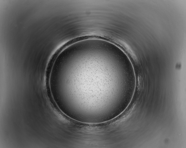 X0000102780780200808251115