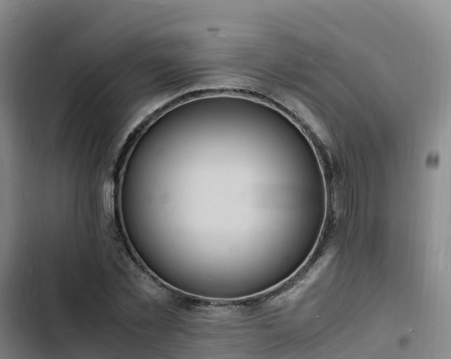 X0000102780781200808251115