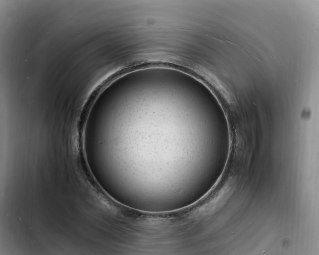 X0000102780782200808251115