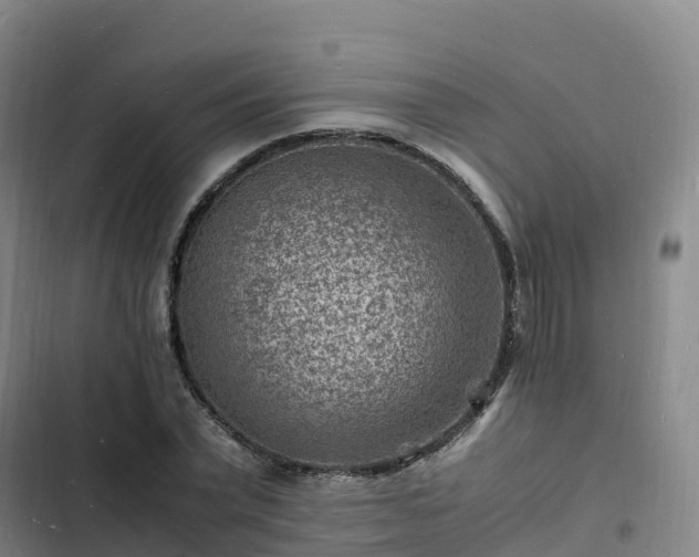 X0000102780783200808251115