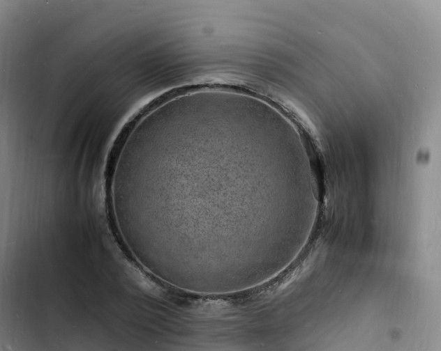 X0000102780784200808251115