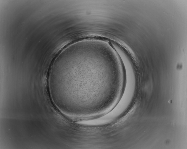 X0000102780785200808251115